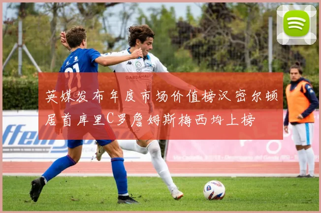英媒发布年度市场价值榜汉密尔顿居首库里C罗詹姆斯梅西均上榜