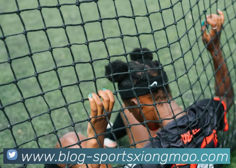 App Interface Preview