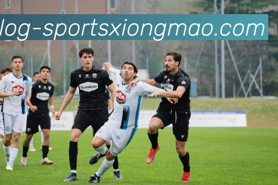 熊猫体育APP 封面图